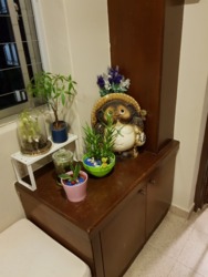 Blk 558 Choa Chu Kang North 6 (Choa Chu Kang), HDB Executive #160199702